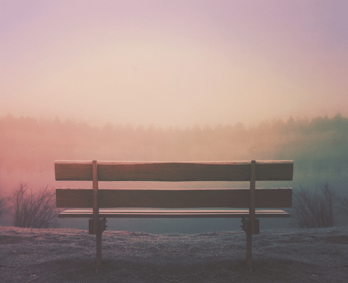 How to Improve Your WordPress Site Speed and Performance. image depicts a bench on a foggy day