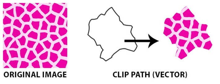 Graphic that shows the progression of an image, an irregular-shaped clip path, and how the image has changed after being clipped