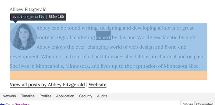author-bio-wordpress-inspect