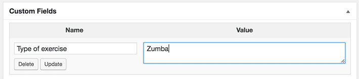 Type of exercise field. How to Create and Use WordPress Custom Fields 