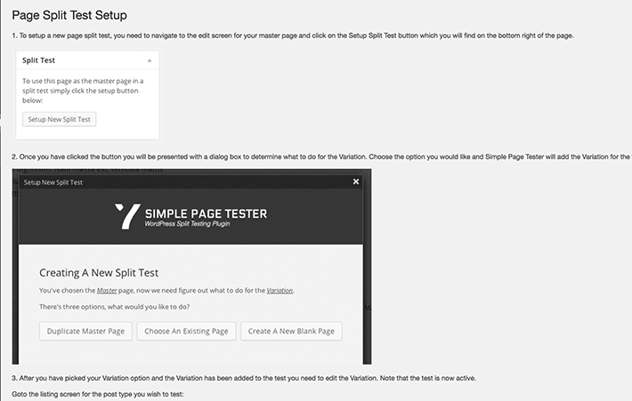 setup page from the Simple Page Tester plugin