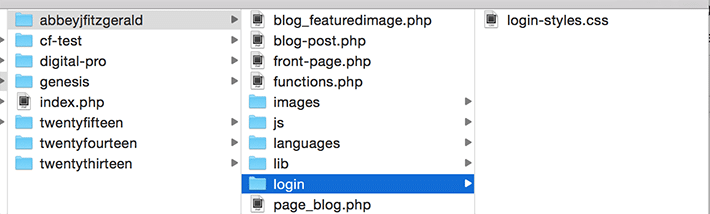 Login folder located in the active theme of a WordPress site