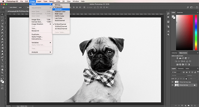 How to Create a Duotone Image in Photoshop 2 Different Ways