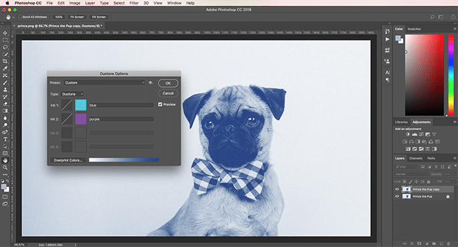 How to Create a Duotone Image in Photoshop 2 Different Ways