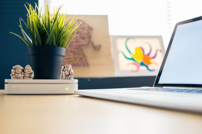 Laptop on table next to plant