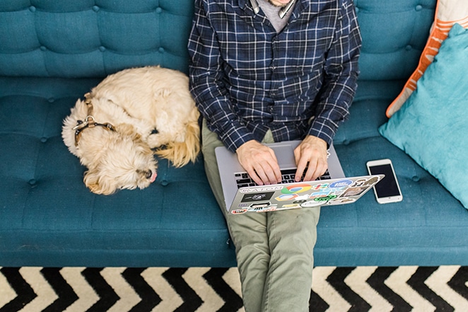 man typing on laptop sitting on blue couch with dog