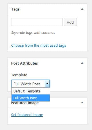 Choosing a full-width mode for a custom WordPress post template