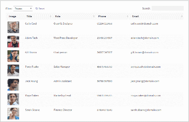 authors dynamic table in wordpress example screenshot